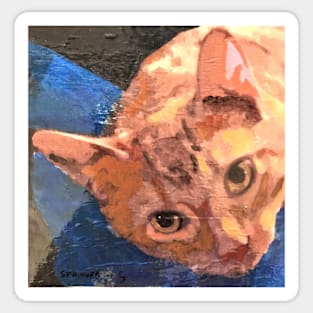 Portrait of an Orange Tabby Sticker